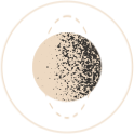 preloader animation