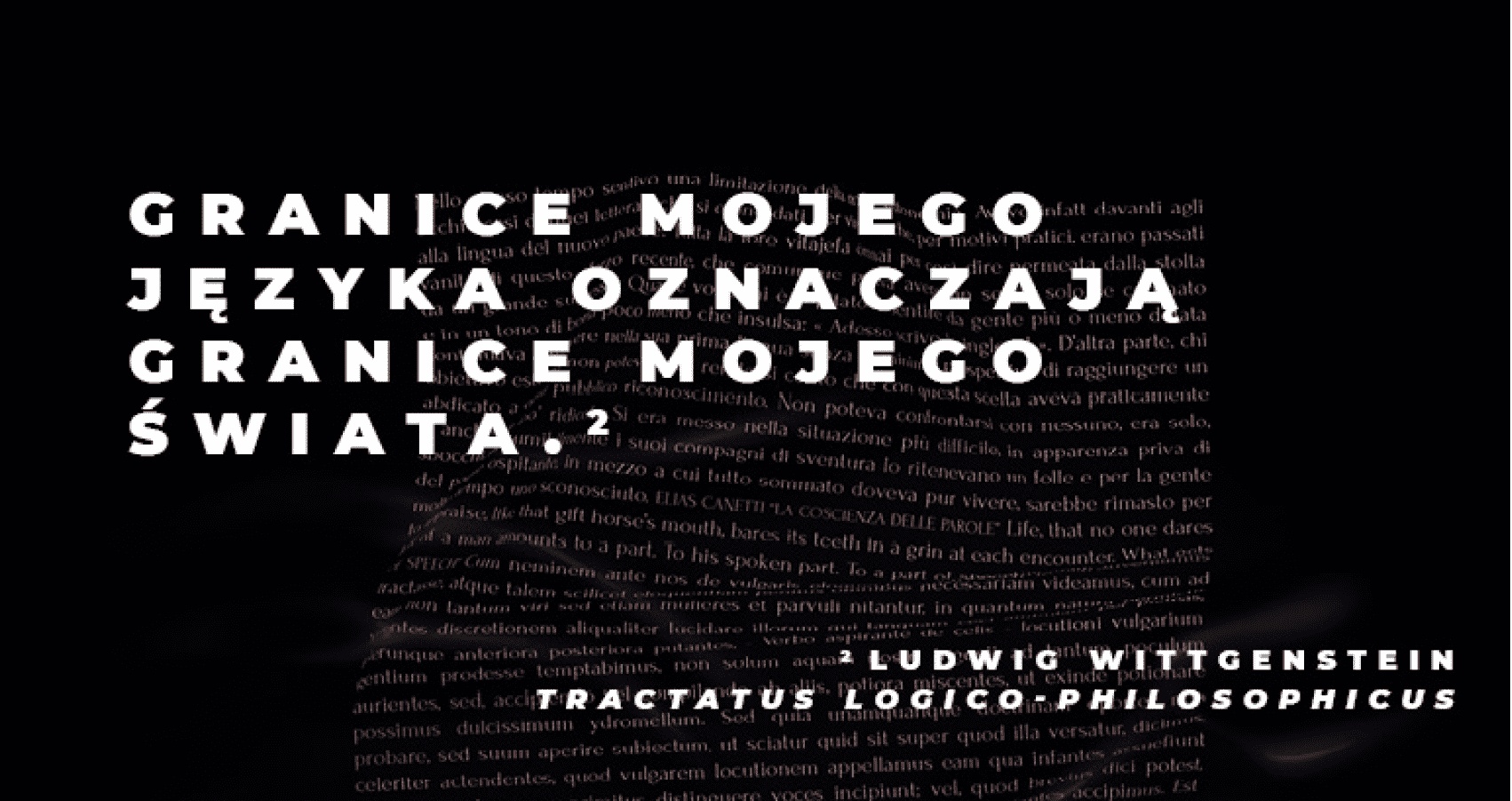 Wittgenstein Quote